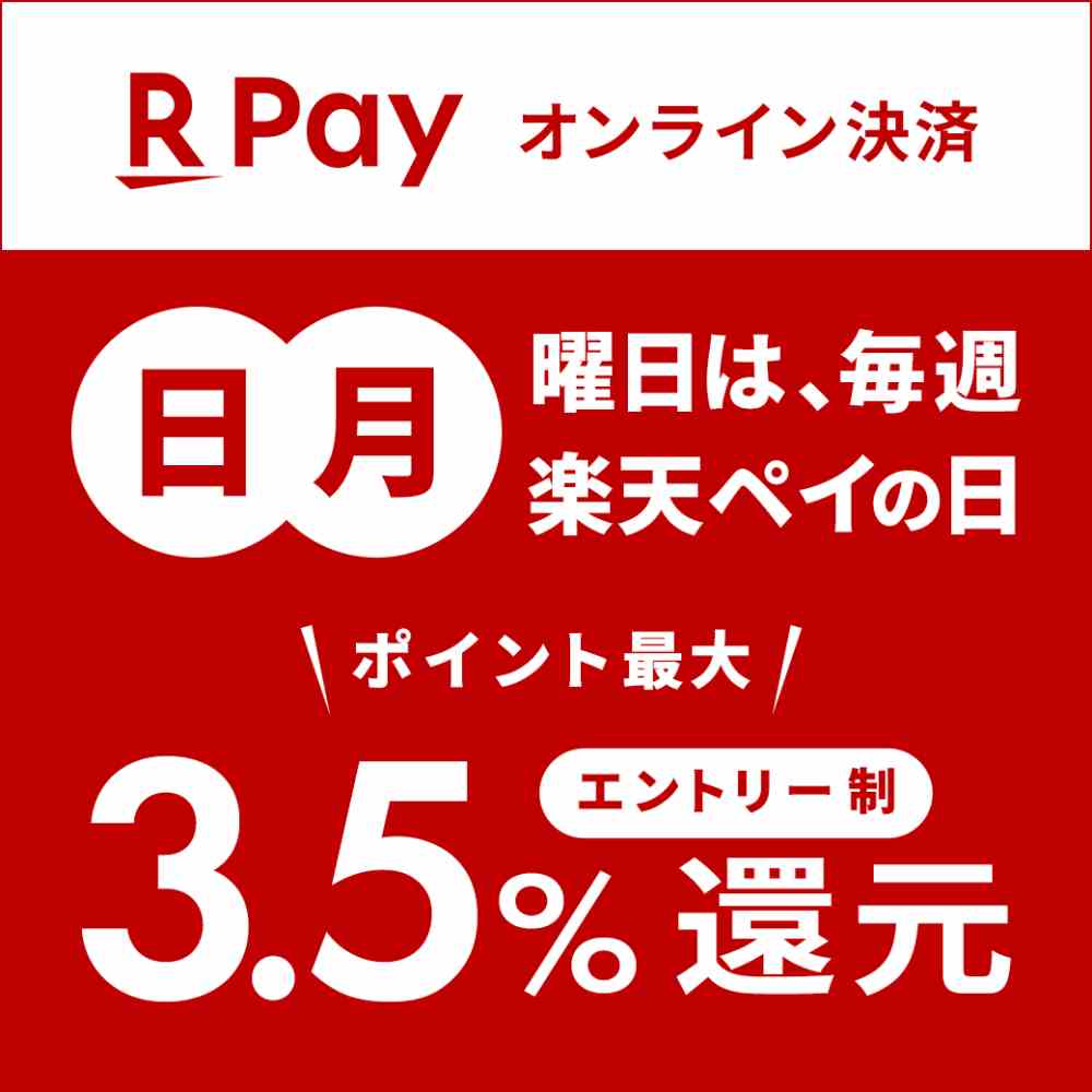 ホームセンターコーナン 楽天ペイの日
